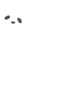 鬼